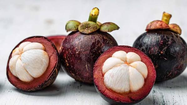 Lucs Mangosteen Plant - Exotic Fruit Tree - Keyfarm Wayanad