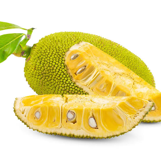 J33 Jackfruit Plant - Sweet & Juicy Variety - Keyfarm Wayanad