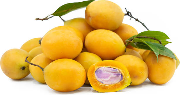 Maprang Fruit Plant - Live Tree - Keyfarm Wayanad