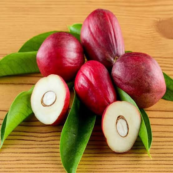 Makkotta Dewa Plant - Exotic Fruit Tree - Keyfarm Wayanad