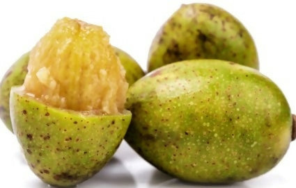 Sweet Ambarella Fruit Plants (Spondias Dulcis)