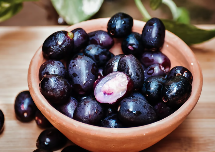Black Jamun Fruit Plants (Syzygium Cumini)