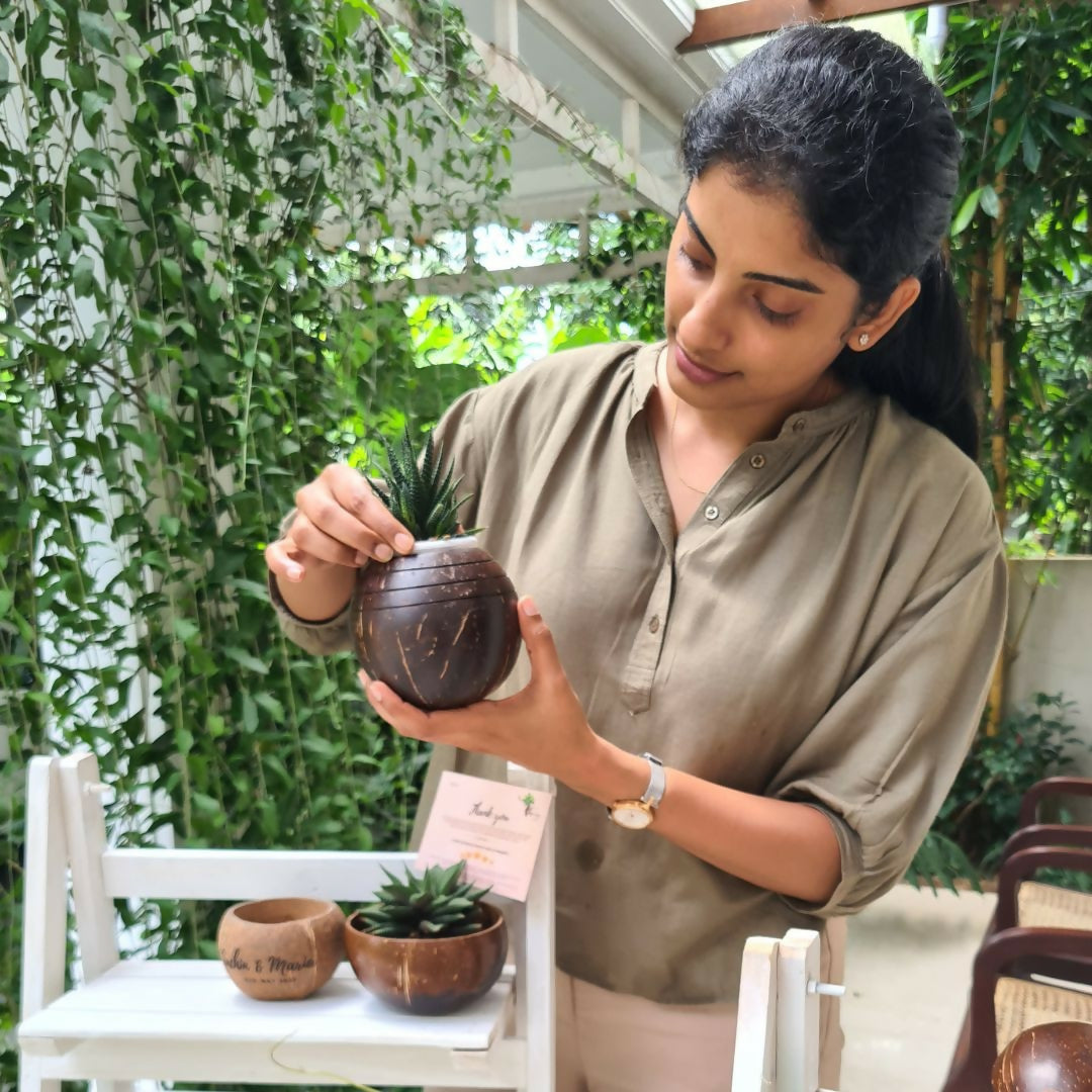 Thenga Coconut Shell Three line Planter Pots | Ideal for Succulents, Small Cacti, Herbs and Small Plants (Set of 1)