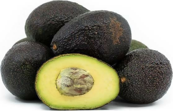 Gem Hass Avocado – Premium Live Grafted - Keyfarm Wayanad