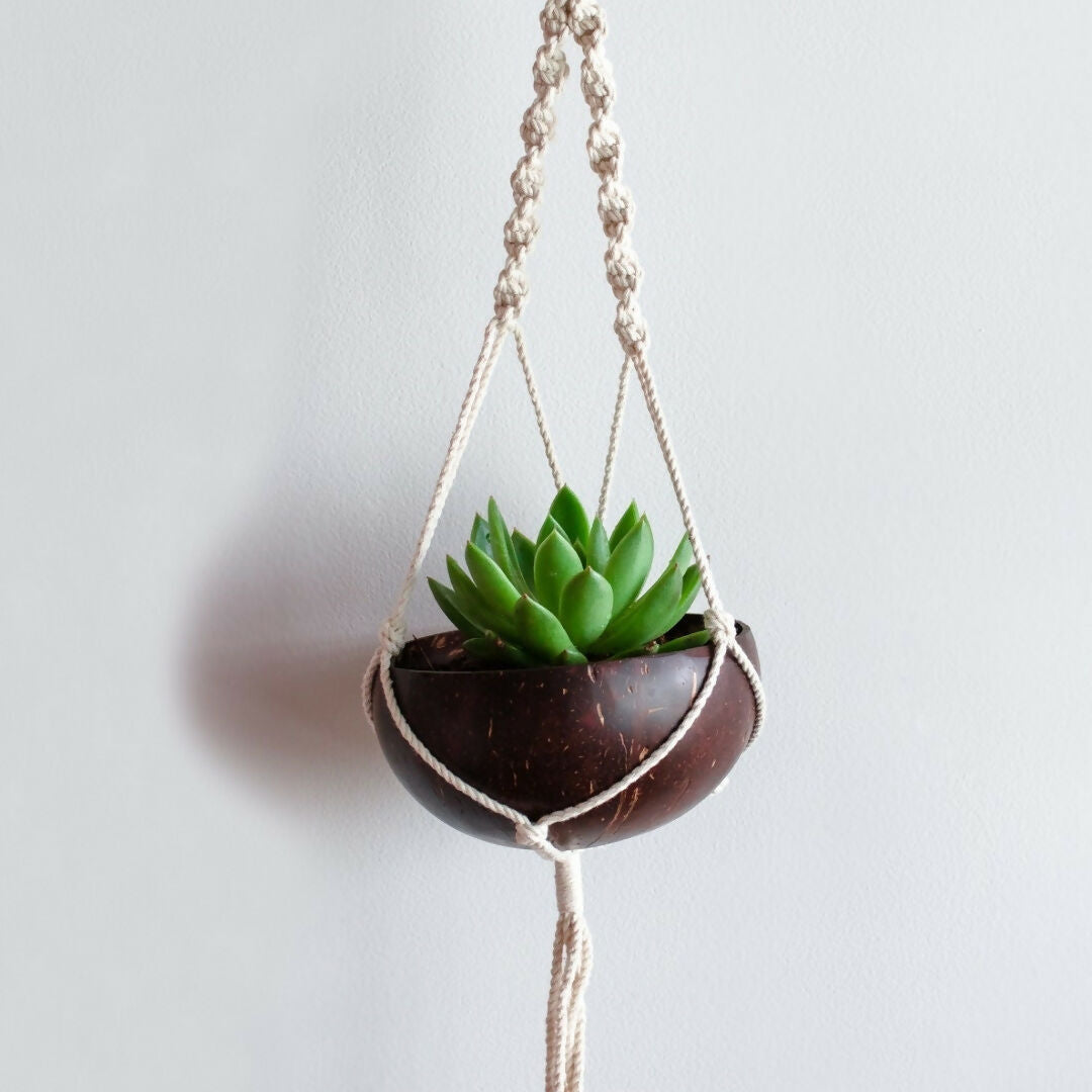 Thenga Coconut Shell Macrame Plant Hanger & Pot | Ideal for Succulents, Small Cacti, Herbs and Small Plants (Set of 1)