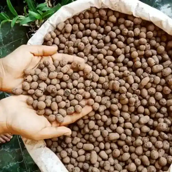 Leca Clay Balls