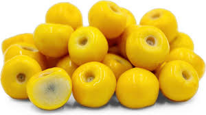 Nance Plum Plant - Small Tropical Fruit Tree - Fruit