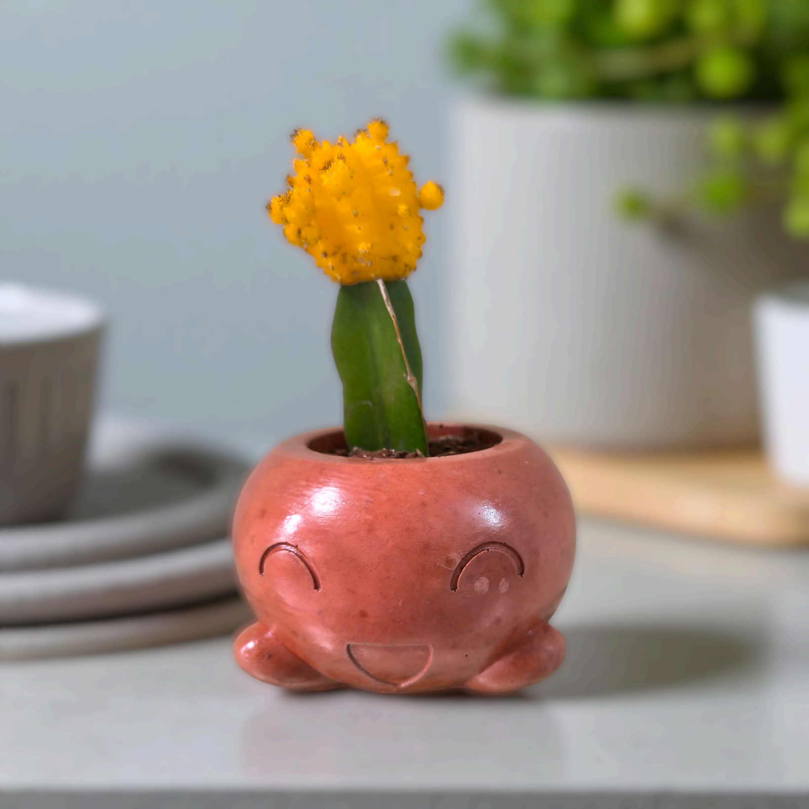 The Mousse 3.75x3.5" - | cute face planter | Desk planter | Indoor use | made from construction waste | eco friendly | sustainable