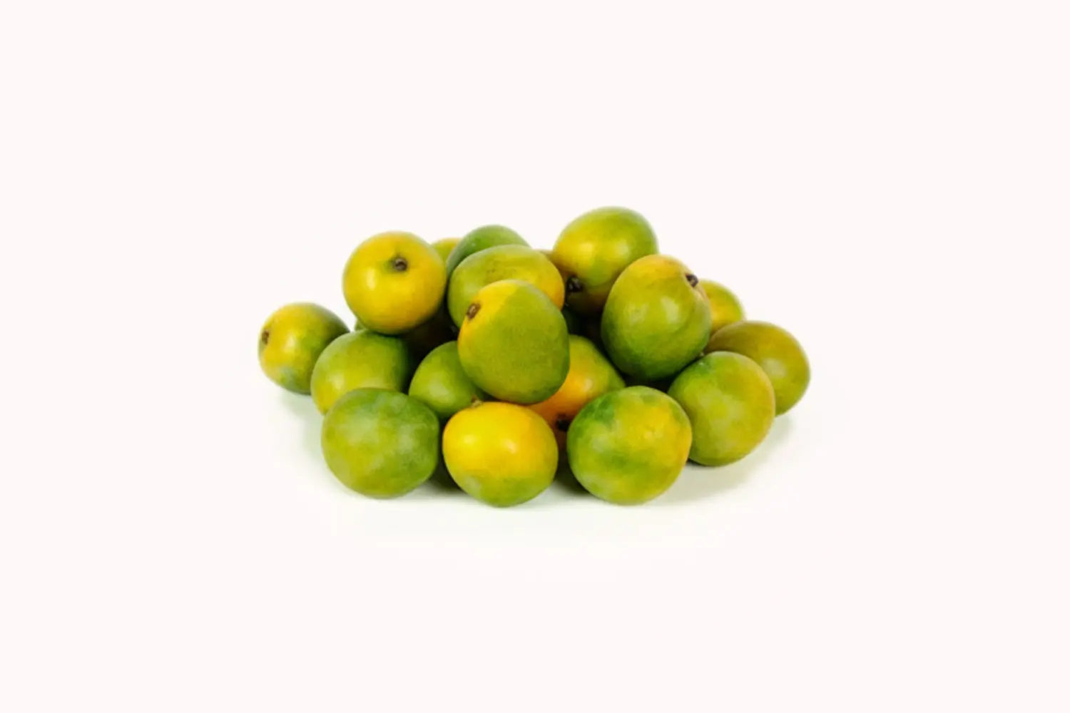 Chakkarakutty Mango / Sweet Indian Mango Plant/Sugar Baby mango - Keyfarm Wayanad