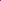 Bougainvillea Purple Star