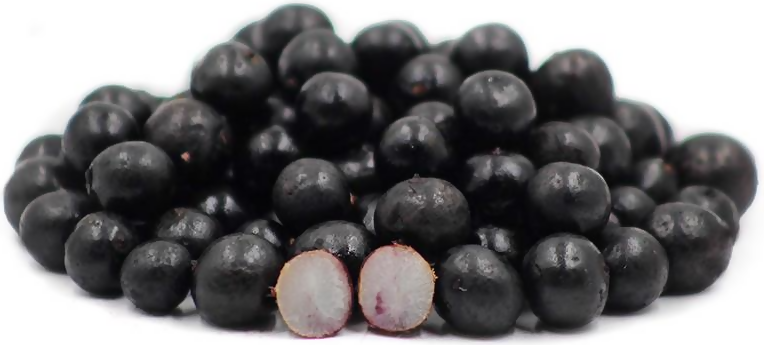 Acai Berry Fruit Live Plants (Euterpe Oleracea)