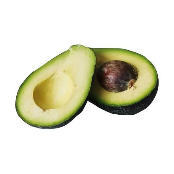 NK1 Avocado – Live Grafted Exotic Fruit Tree - Keyfarm Wayanad