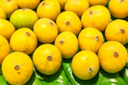 Yellow Jaboticaba Fruit Plants (Myrciaria Glazioviana)