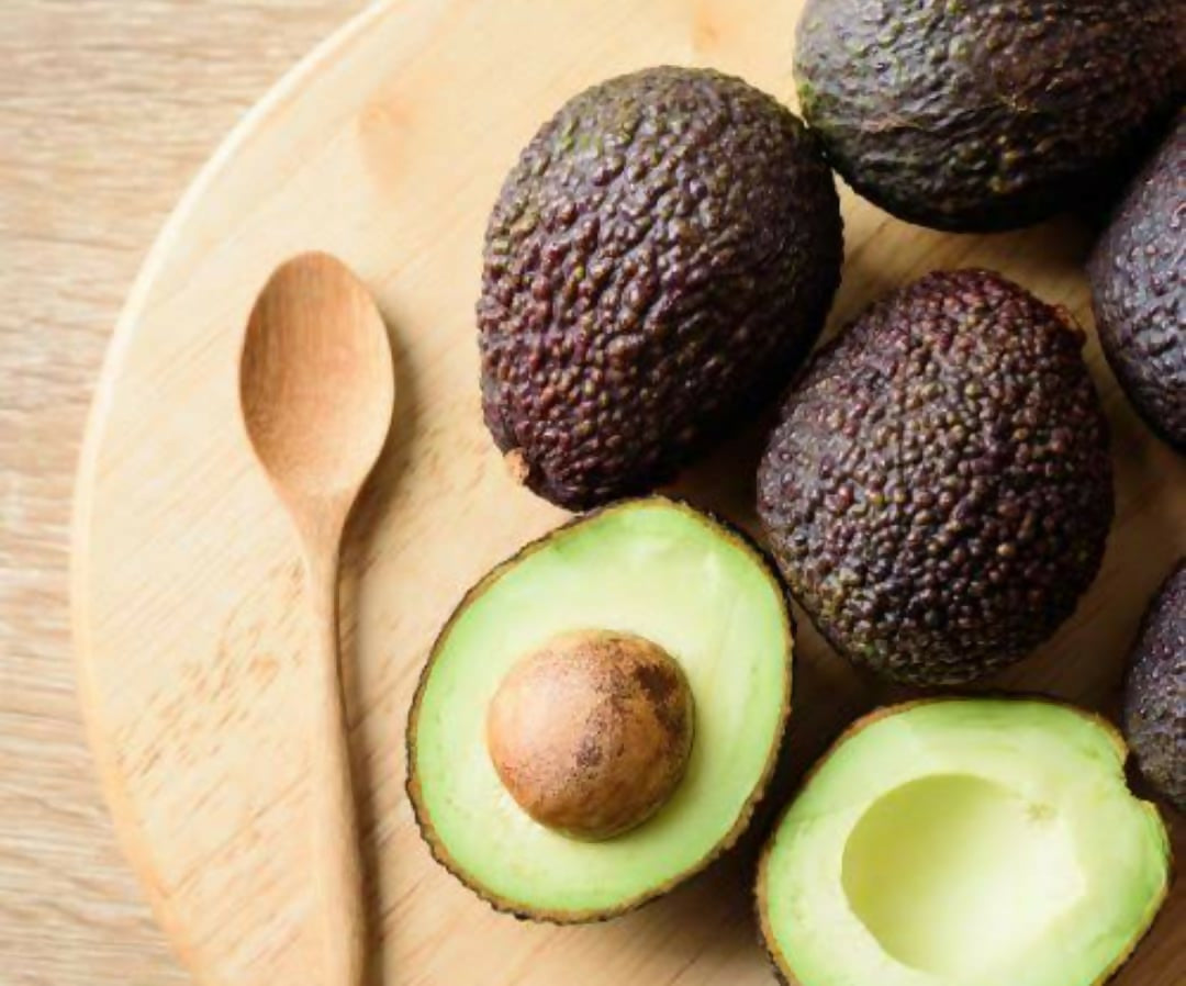Hass Avocado – Live Grafted Exotic Fruit Tree - Keyfarm Wayanad