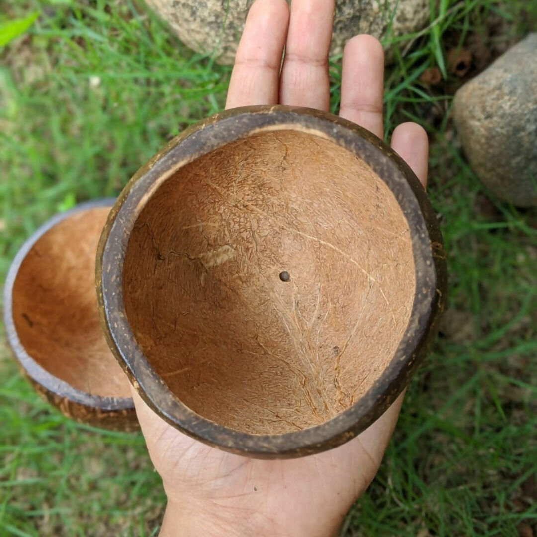 Thenga Coconut Shell Natural Round Planter Pot (Set of 1) | Eco-Friendly Indoor Plant Pot for Home Décor