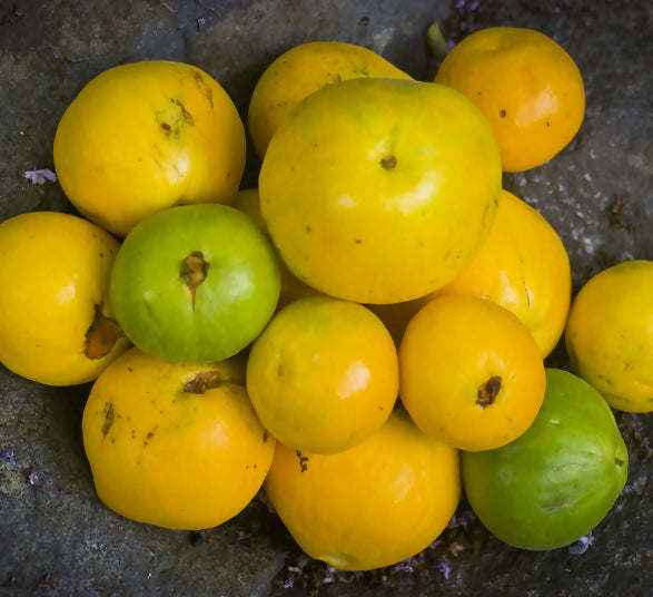 Araza Boi fruit Plants (Eugenia Stipitata)