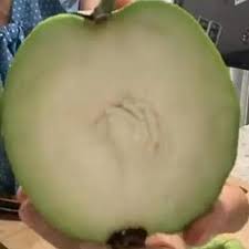 Seedless Guava Plant - Delicious & Easy to Eat - Fruit