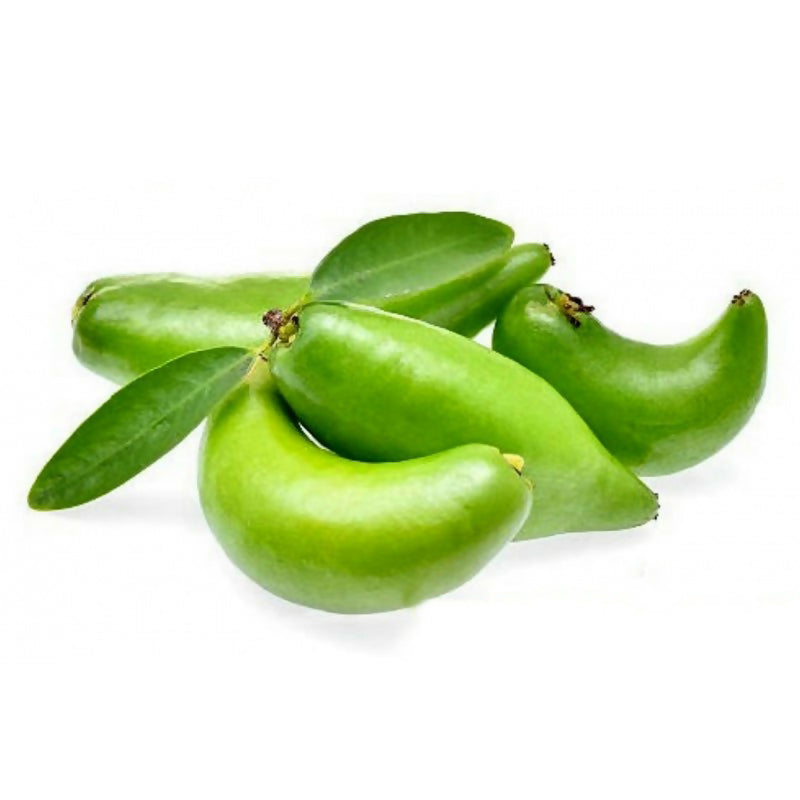 Madan Fruit Plant (Garcinia Schomburgkiana)