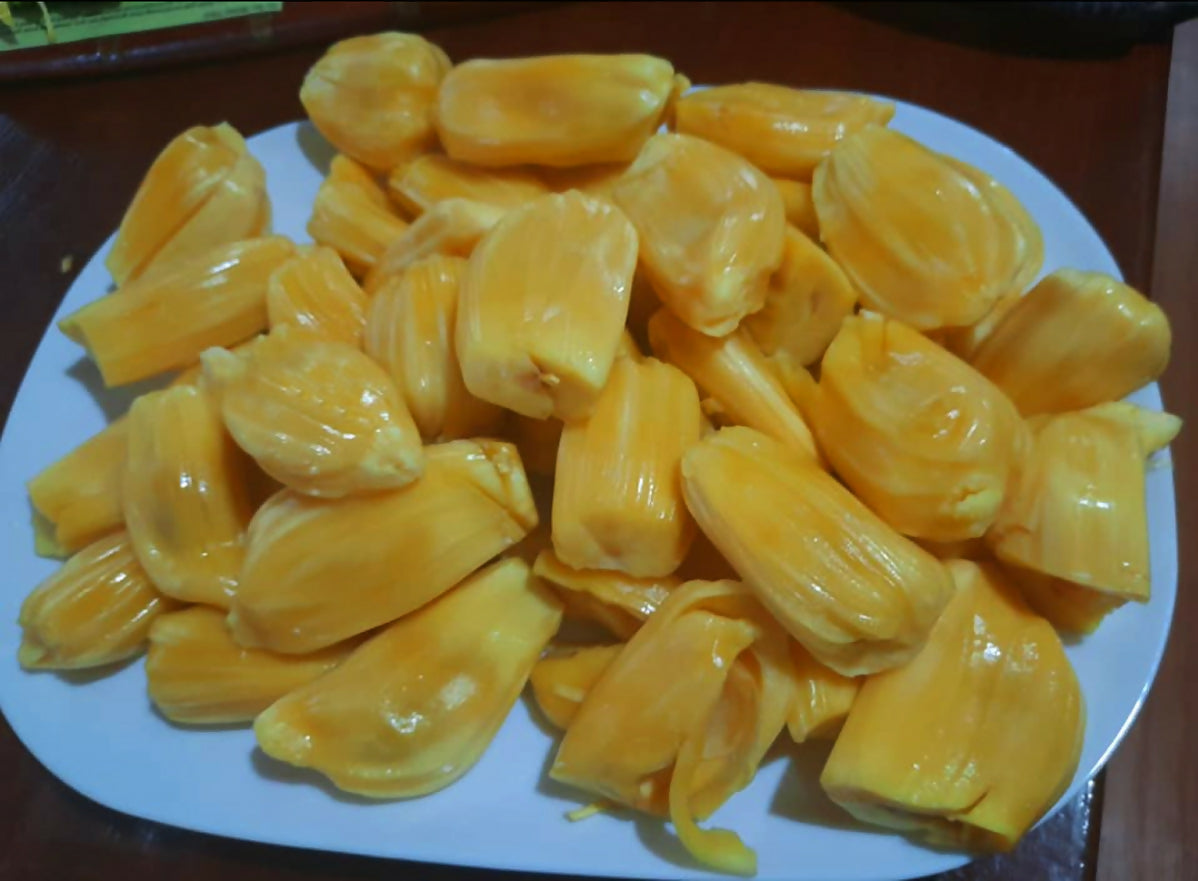 EVIARC The Sweetest Jackfruit Plant