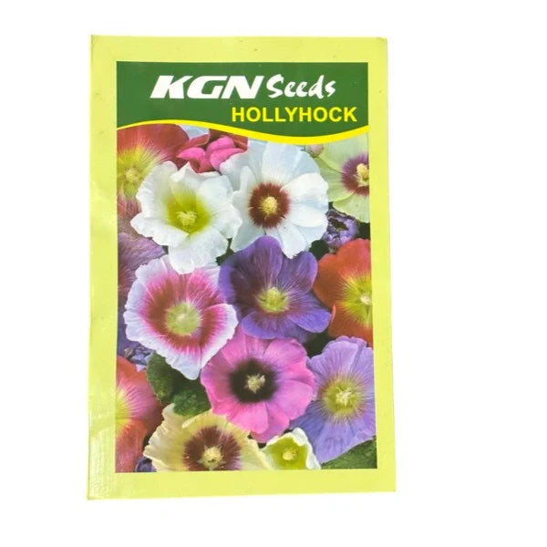Hollyhock – Seeds