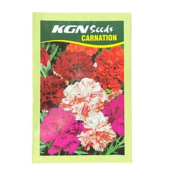 Carnation - Seeds