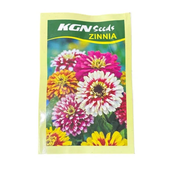 Zinnia - Seeds