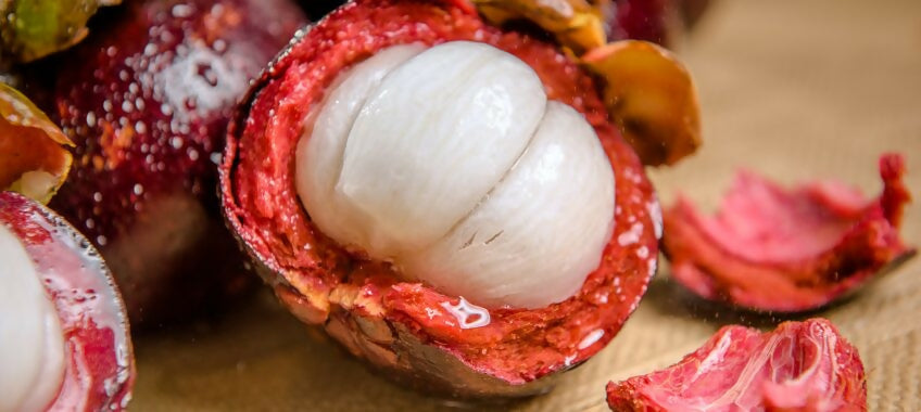 Mangosteen Fruit Plants (Garcinia Mangostana)