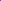Vanda (VS-047) - Medium