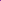 Vanda (VS-051) - Medium