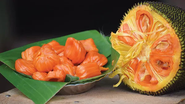 Vietnam Red Jackfruit Plant - Tropical Fruit Tree - Keyfarm Wayanad