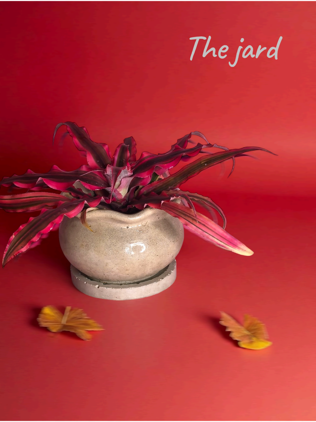 The Jard - 3" x 2.75" - Sustainable | natural texture | Recycled planter