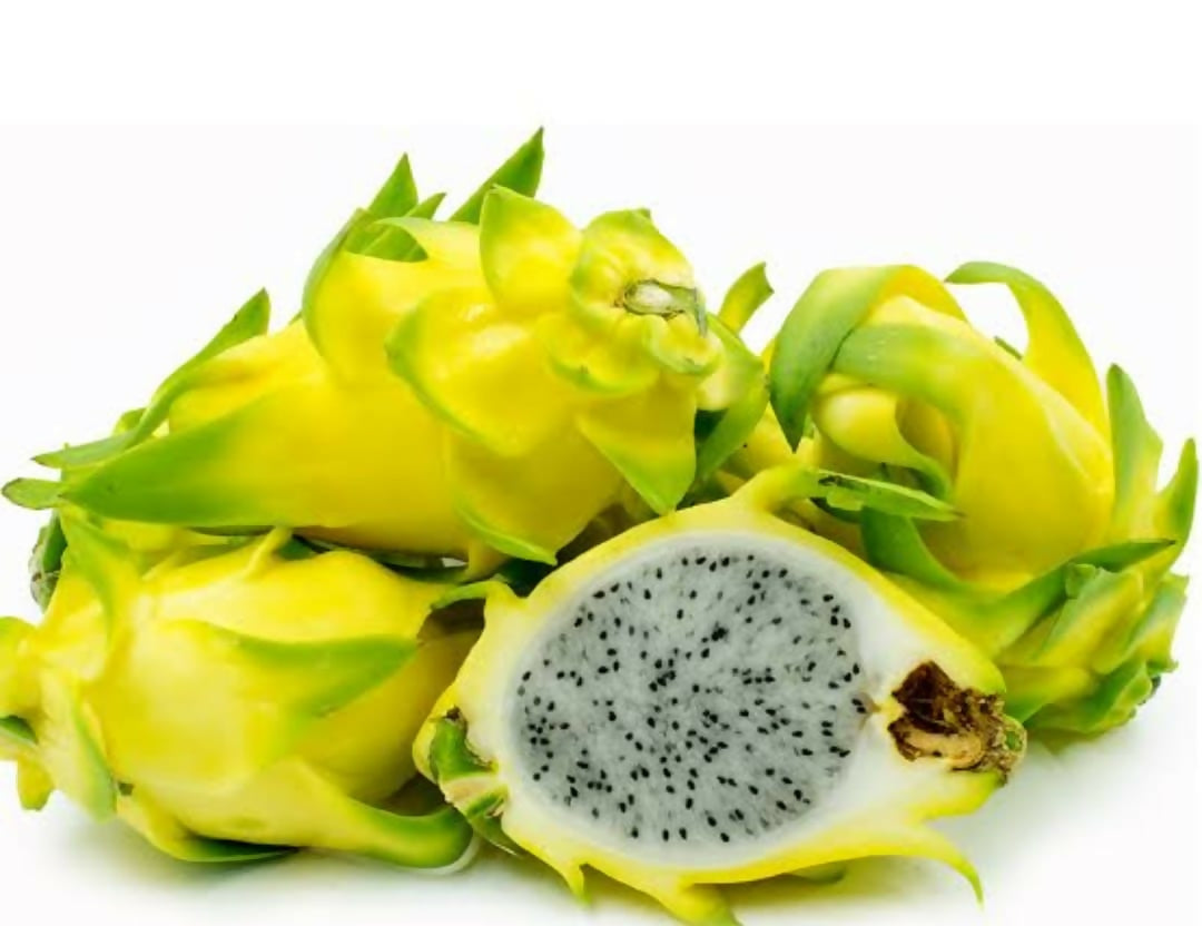 Israel Yellow Dragonfruit – Vibrant & Live - Keyfarm Wayanad