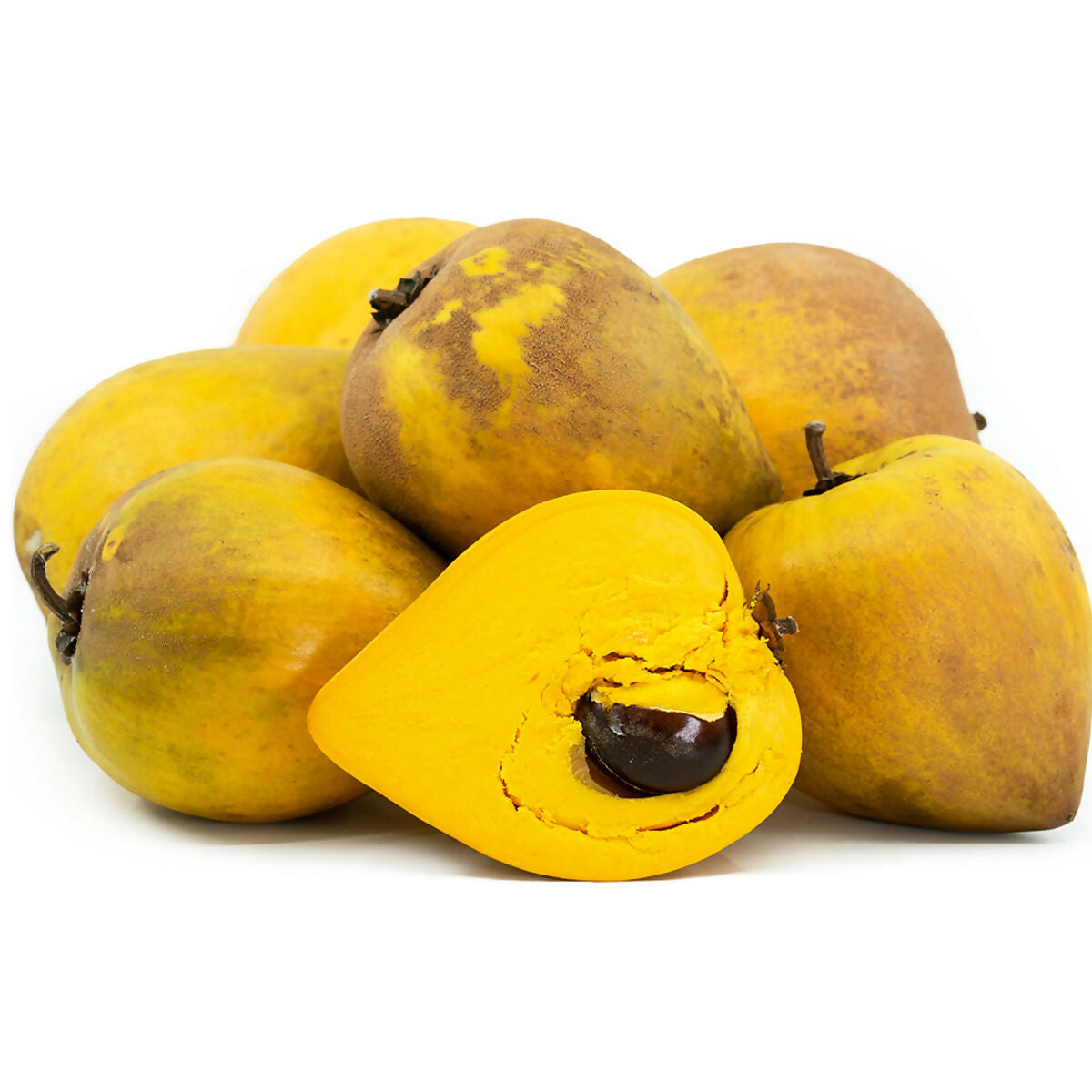 Egg Fruit Plants (Pouteria Campechiana)